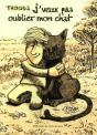 J'Veux Pas Oublier Mon Chat - Preview