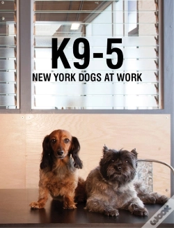Capa do artigo K9-5