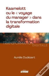 Kaamelott Ou Le « Voyage Du Manager » Dans La Transformation Digitale