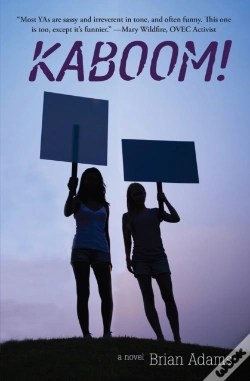 Capa do artigo Kaboom