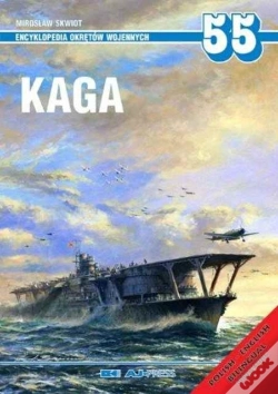 Capa do artigo Kaga