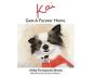 Kai Gets A Forever Home - Preview