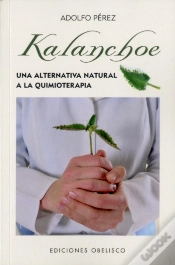 Capa do artigo Kalanchoe (Bolsillo)