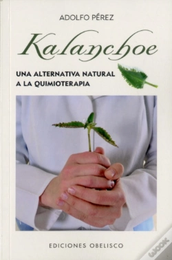 Capa do artigo Kalanchoe (Bolsillo)