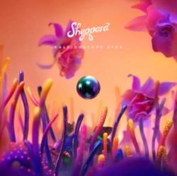 Capa do artigo Kaleidoscope Eyes - CD