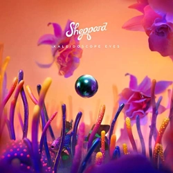 Capa do artigo Kaleidoscope Eyes - CD