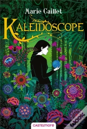 Capa do artigo Kaleidoscope