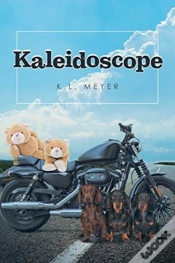 Capa do artigo Kaleidoscope
