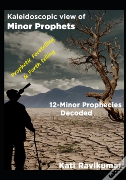 Capa do artigo Kaleidoscopic View Of Minor Prophets