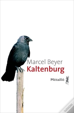 Capa do artigo Kaltenburg