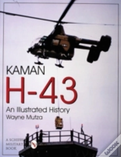 Capa do artigo Kaman H-43