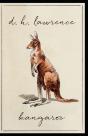 Kangaroo Annotated - Preview