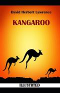 Kangaroo  Illustrated