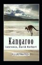 Kangaroo Illustrated - Preview
