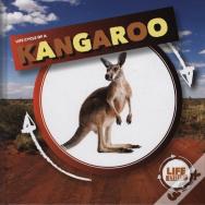 Kangaroo