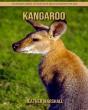 Kangaroo - Preview
