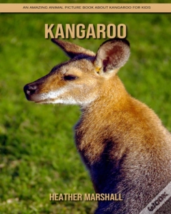 Capa do artigo Kangaroo