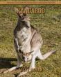 Kangaroo - Preview