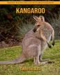 Kangaroo - Preview