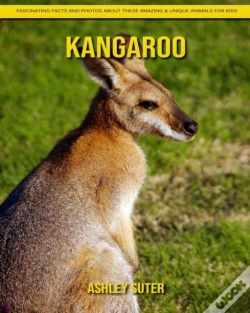 Capa do artigo Kangaroo