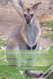 Kangaroos Down Under