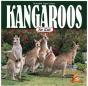 Kangaroos For Kids - Preview