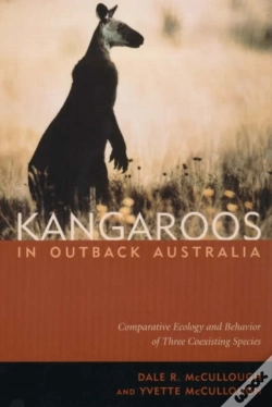 Capa do artigo Kangaroos In Outback Australia