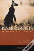 Kangaroos In Outback Australia