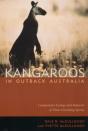Kangaroos In Outback Australia - Preview