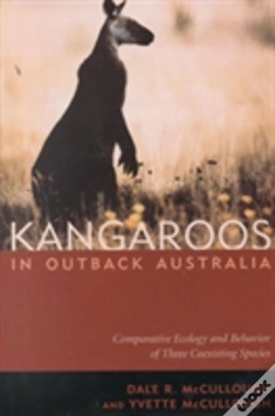 Capa do artigo Kangaroos In Outback Australia