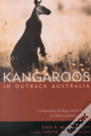 Kangaroos In Outback Australia