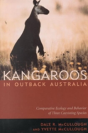 Kangaroos In Outback Australia - Preview