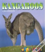 Kangaroos