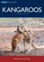 Kangaroos - Preview