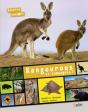 Kangourous Et Compagnie ! - Preview
