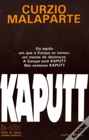 Capa do artigo Kaputt