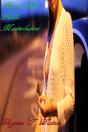 Kara'S First Public Masturbation - Preview