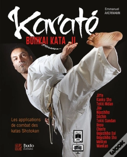 Capa do artigo Karaté Bunkai Kata (2)