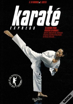 Capa do artigo Karaté Express