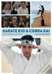 Capa do artigo Karate Kid