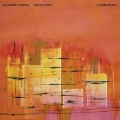Capa do artigo Kardamon - Vinil