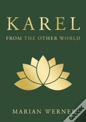 Capa do artigo Karel From The Other World