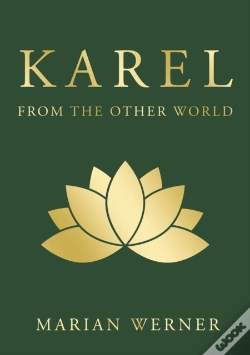 Capa do artigo Karel From The Other World