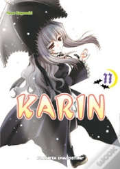 Capa do artigo Karin Nº 11