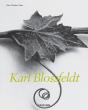 Karl Blossfeldt - Preview