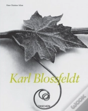 Capa do artigo Karl Blossfeldt