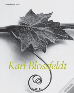 Capa do artigo Karl Blossfeldt