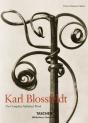 Karl Blossfeldt - Preview