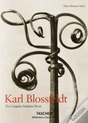 Capa do artigo Karl Blossfeldt