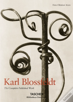Capa do artigo Karl Blossfeldt
